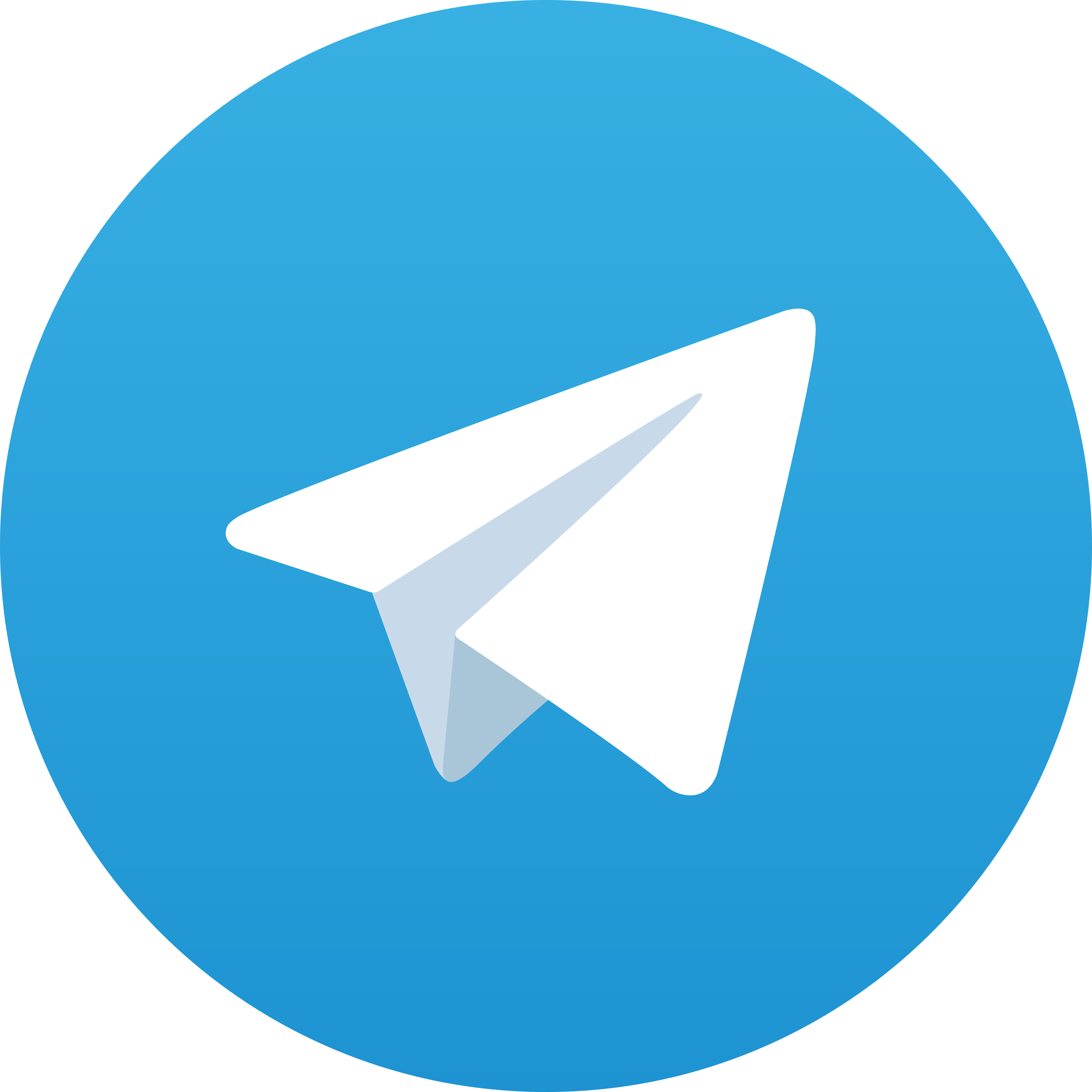 Telegram Agen169